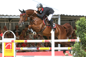 Zum Spitzentrio der erfolgreichsten Mecklenburger gehört 2010 die 12-jährige Lord Kemm-Stute Lady Like, die mit Philipp Schober ihre größten Erfolge hatte. Foto: Wego